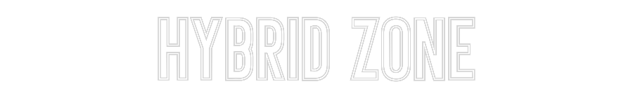 Neon personalizado: Hybrid Zone