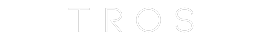 Neon personalizado: T R O S
