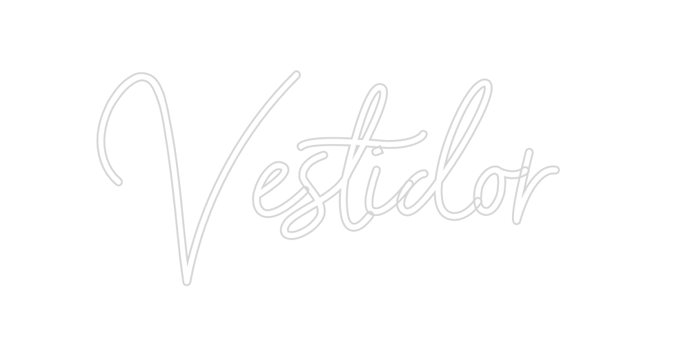 Neon personalizado: Vestidor