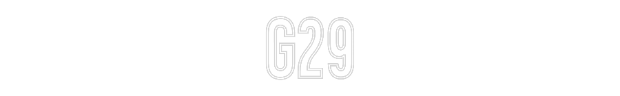 Neon personalizado: G29