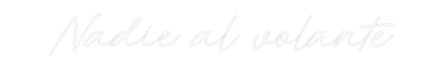 Neon personalizado: Nadie al vola...