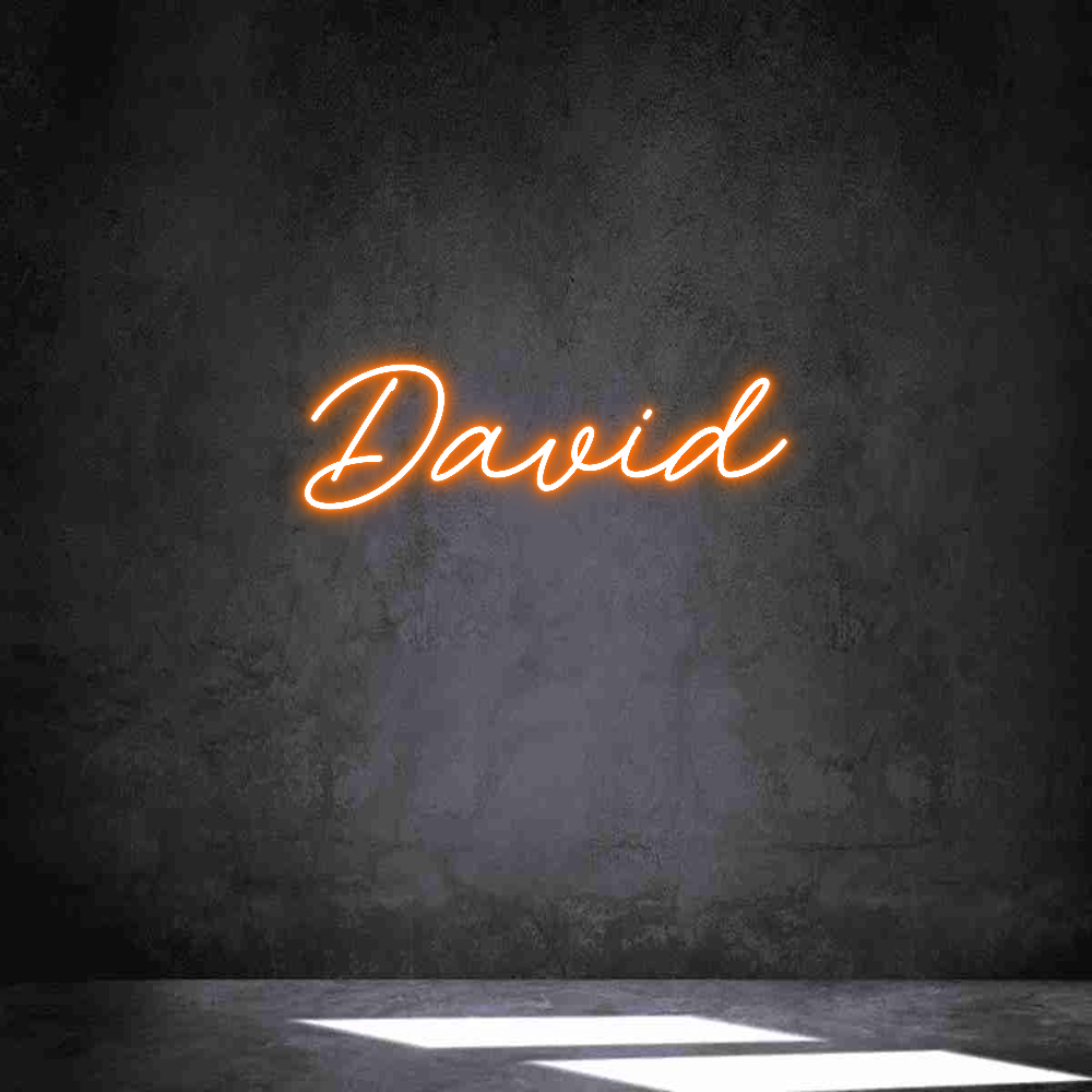 Neon personalizado: David