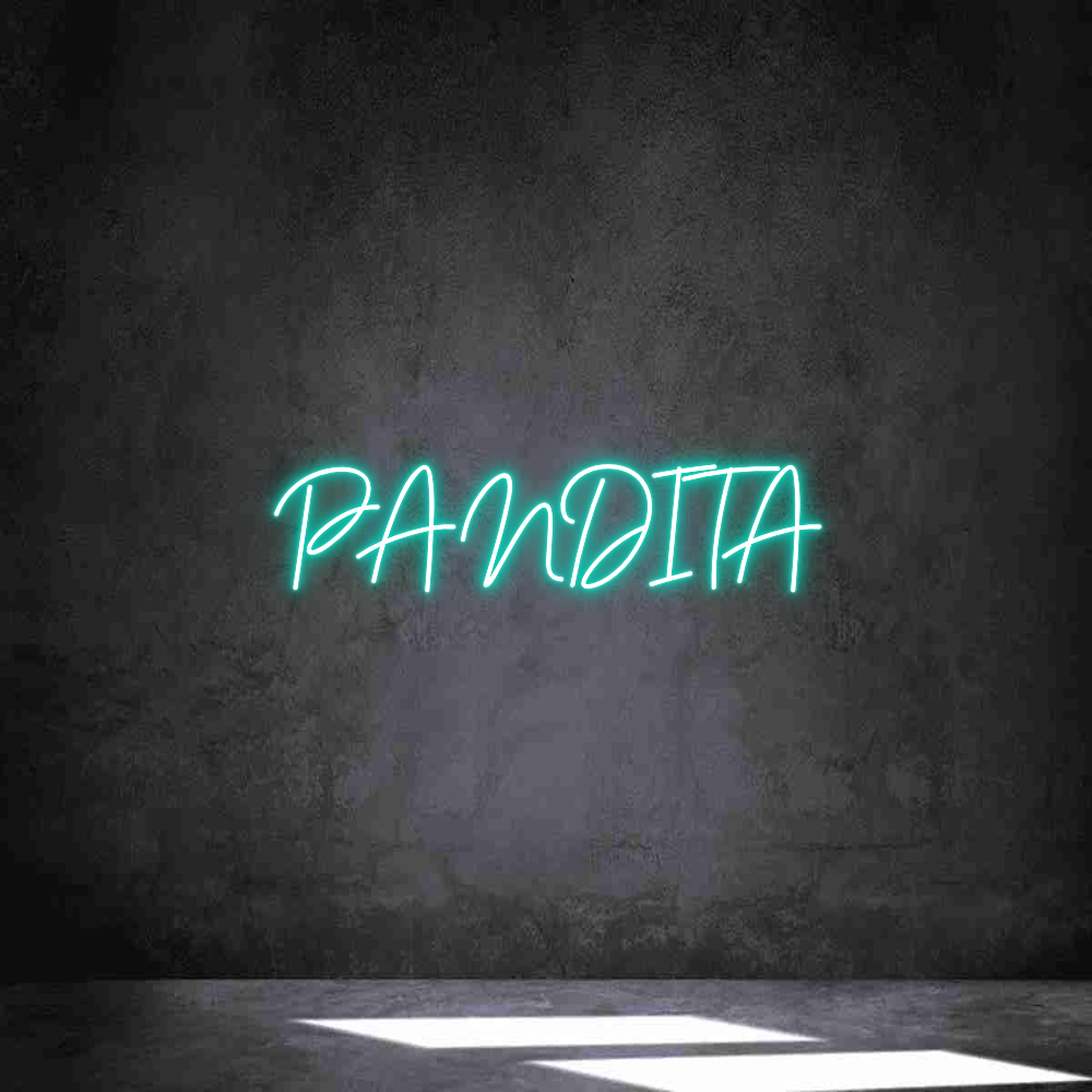 Neon personalizado: PANDITA