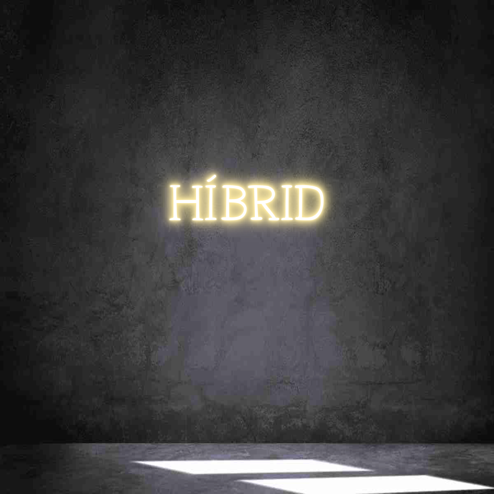 Neon personalizado: HÌBRID