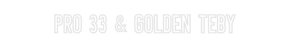Neon personalizado: PRO 33 & Gold...