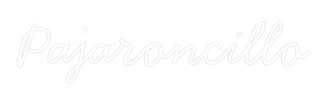 Neon personalizado: Pajaroncillo