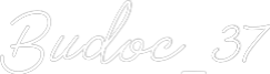 Neon personalizado: Budoc_37