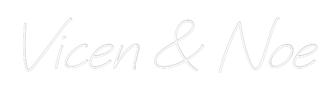 Neon personalizado: Vicen & Noe