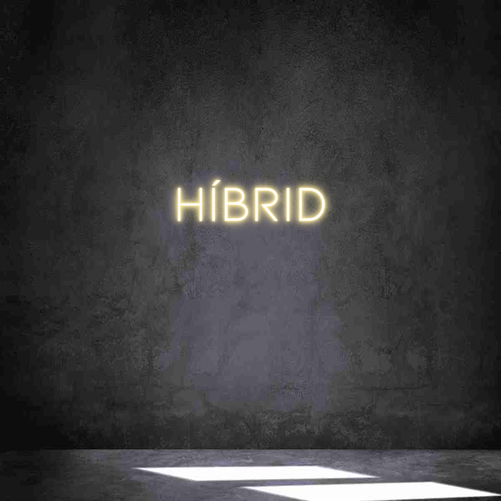 Neon personalizado: HÍBRID
