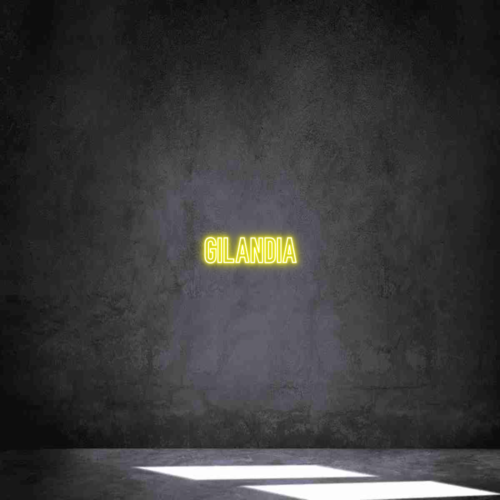 Neon personalizado: Gilandia