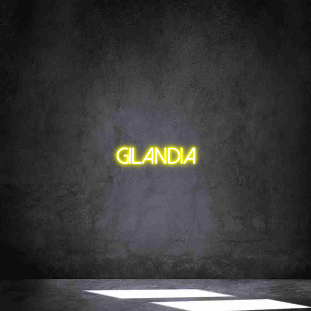 Neon personalizado: Gilandia