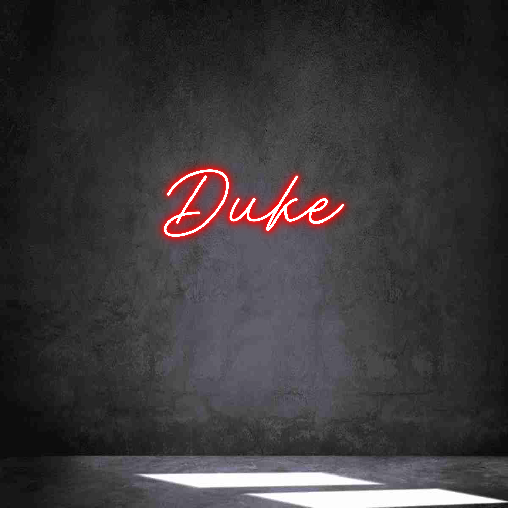 Neon personalizado: Duke