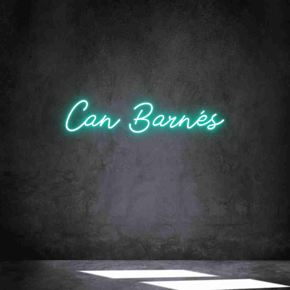 Neon personalizado: Can Barnés