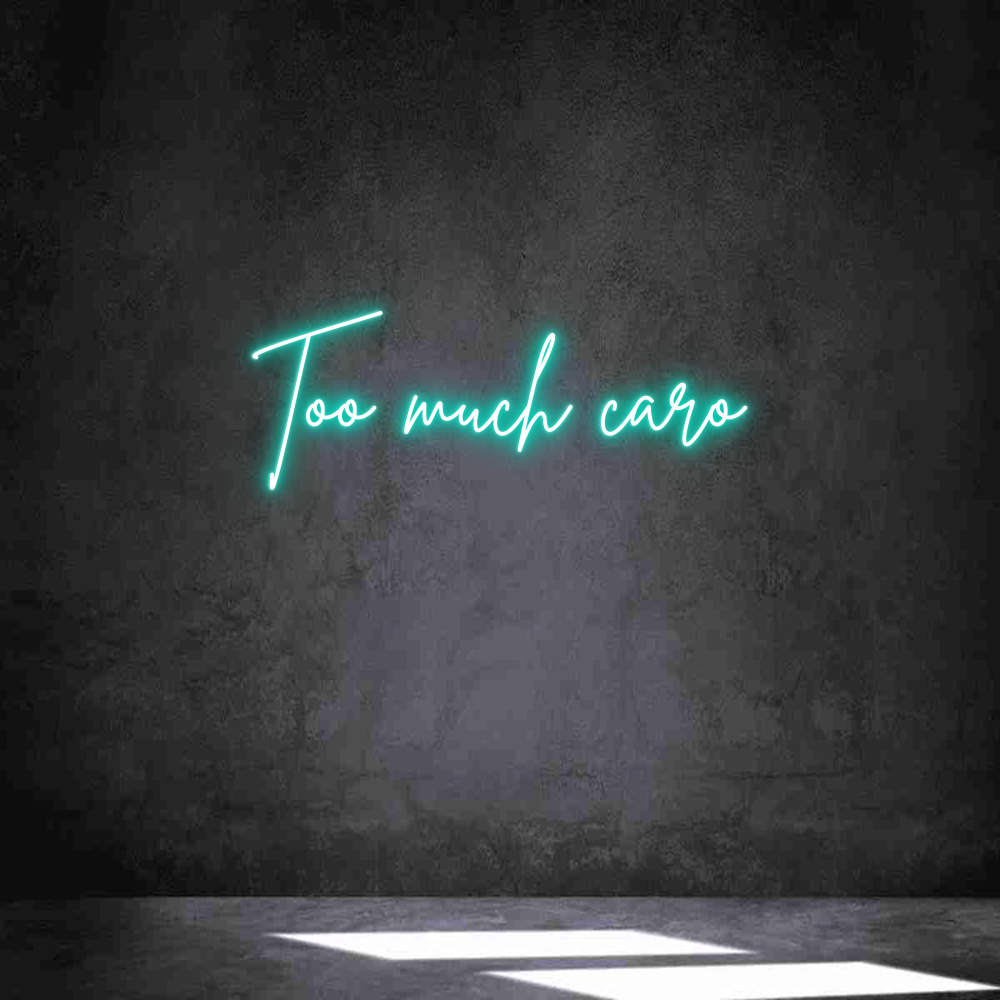 Neon personalizado: Too much caro
