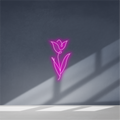 Cartel neon Rosa